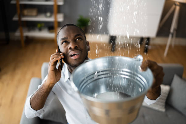 Best 24/7 water damage repair  in Papillion, NE