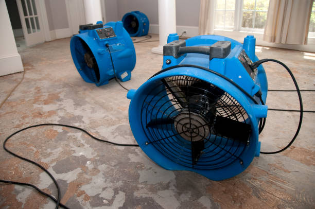 Best Commercial water damage restoration  in Papillion, NE