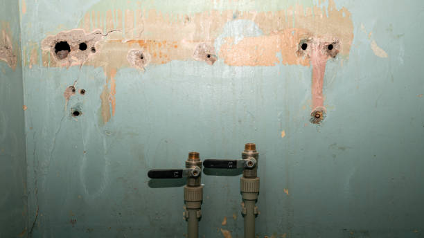  Papillion, NE Water damage restoration Pros