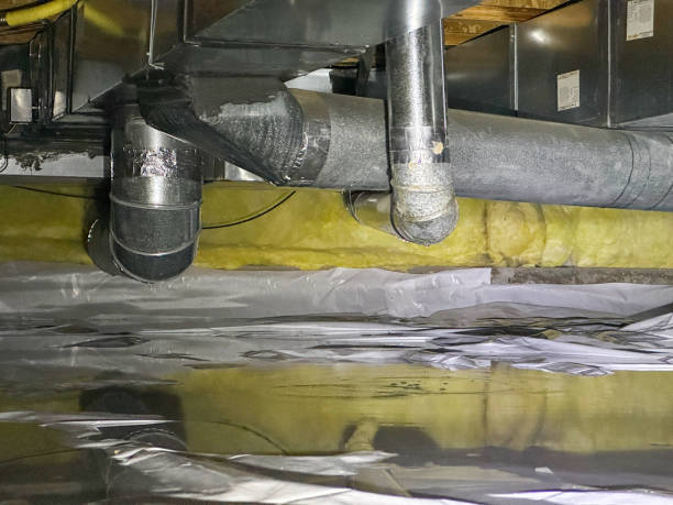 Best Basement water damage restoration  in Papillion, NE